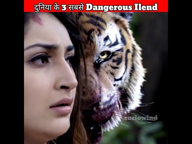 duniya ki sabse dangerous ilend #shorts #facts #amazingfact #youtubeshorts