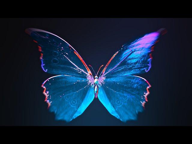 Butterfly - Hologram Live Wallpaper, 1 Hour Looping Background