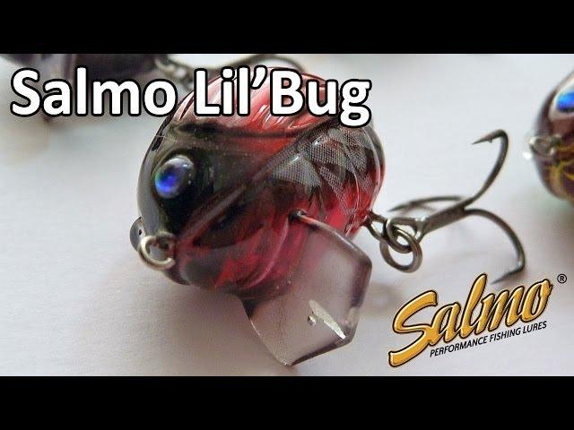 Salmo lil'bug