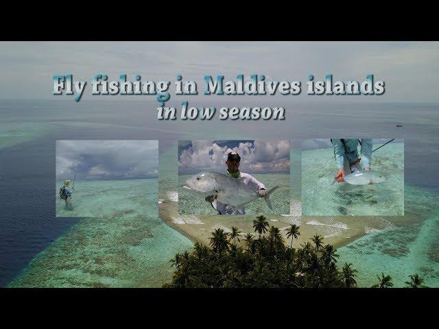 Fly fishing in Maldives Islands in low season Gt Giant Trevally Bluefin cost economic travel