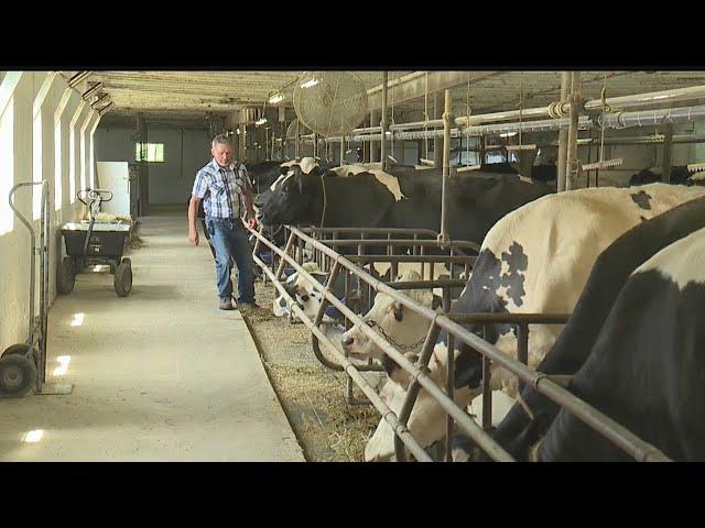 Pennsylvania brings dairy farms and food banks together during pandemic