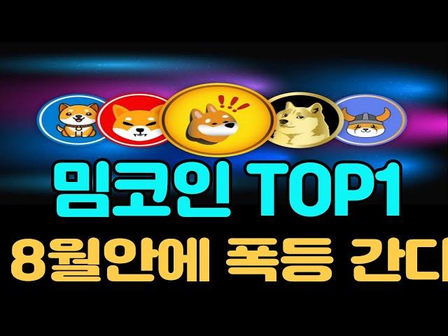 [밈코인 추천]밈코인 TOP1 공개 8월안에 폭등간다