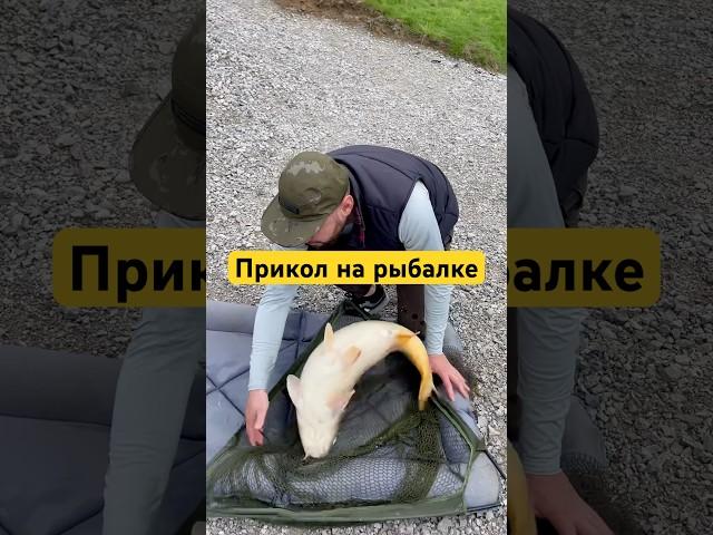 До конца #рыбалка #рыбалканафидер #карп #рыбалканаозере #carp #сазан #carpfishing