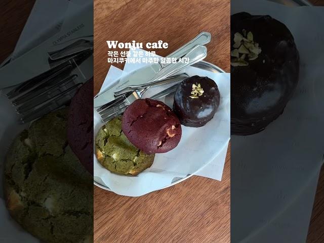 수제 디저트 맛집!원주 디저트 카페 #마지쿠키 #원주카페 #두바이피스타치오