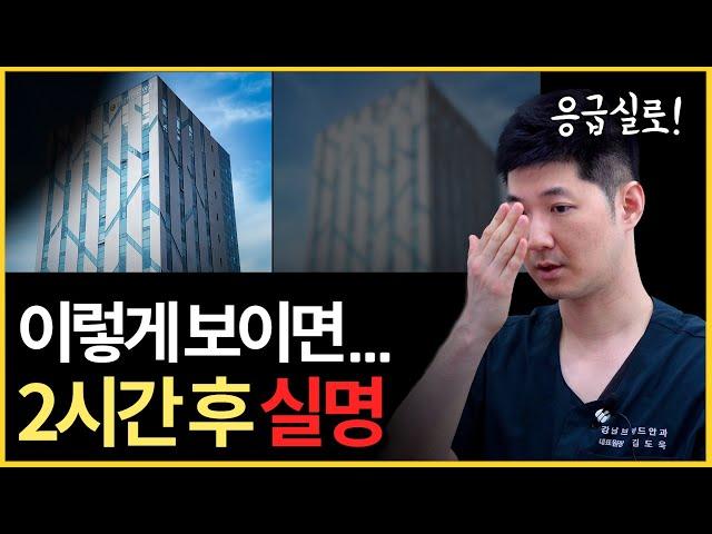 실명 전조증상 정리 - 실명하기 직전의 시야를 보여드릴게요…(근시는 필수시청)