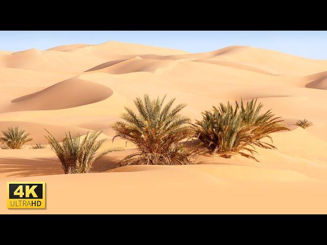 Flying Over Desert Landscape in 4K Video Ultra HD with Relaxing Music