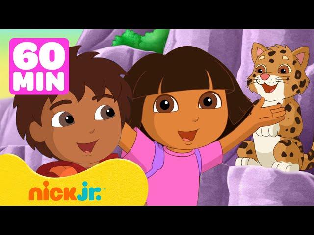 Dora & Diego's spannende dierenreddingen!  1 uur  | Nick Jr. Nederlands