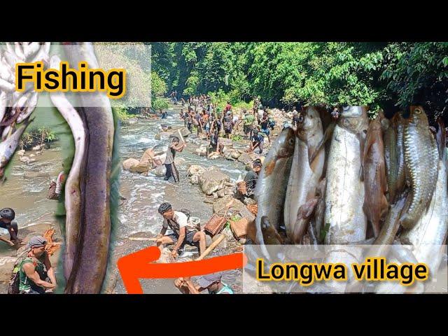 Fishing in the River||Longwa village @Awang735 @Nokyen-jw6eh #nagaland #naga #longwa #konyak