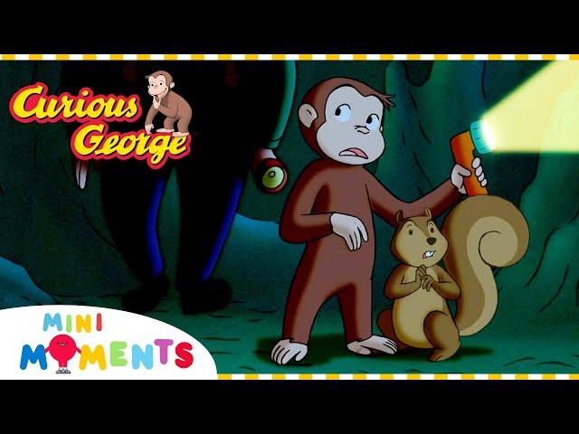 George is Scared of the Dark  | Curious George | Compilation | Mini Moments