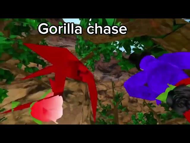 Seek chase but… gorilla tag?