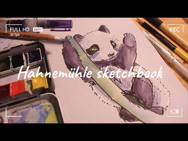 Hahnemühle Toned Watercolor Sketchbook Review+Plant & Panda Sketch | Cuaderno de Acuarela Tonificada