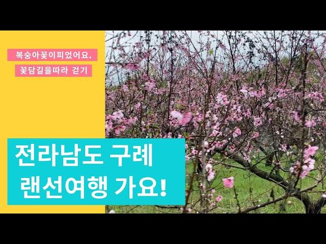 꽃담길 구례 산수유 사랑공원