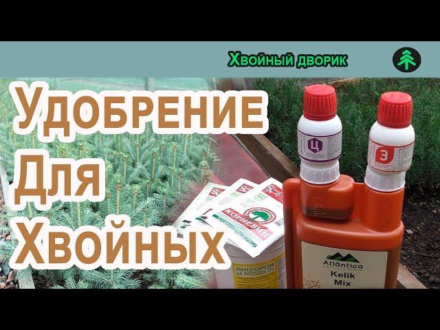 Удобрения для хвойных. Какие удобрения мы используем в питомнике Хвойный дворик.