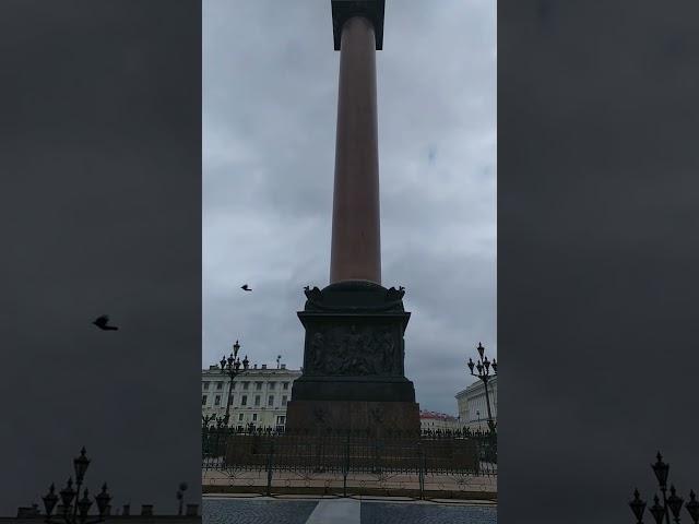 Вечное в Санкт- Петербурге. Не устаю восхищаться. 30.03.24 #санктпетербург