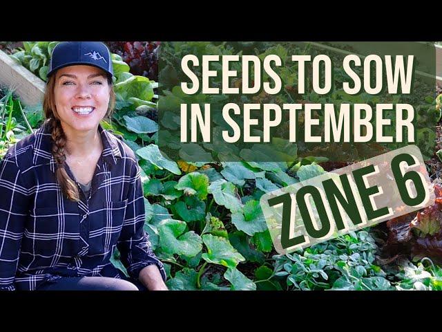 Vegetable & Cover Crop Seeds to Plant in September: Zone 6