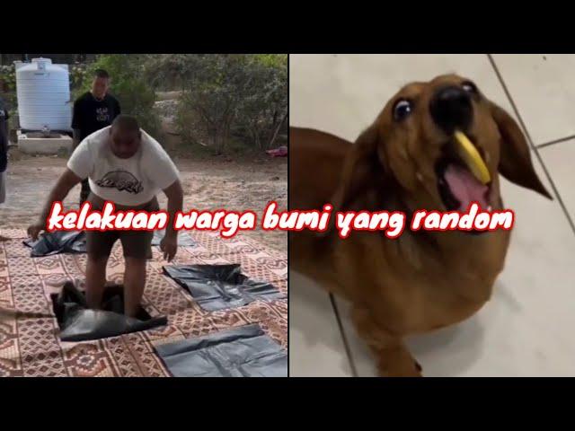 video random 13 | kompilasi video lucu#funnyvideo #random #videolucubikinngakakterbaru#reaction