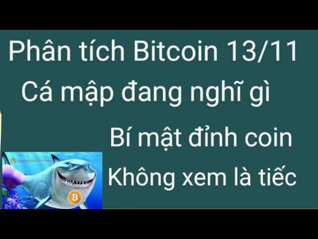 Phân tích bitcoin altcoin hôm nay ngày 13/11 cập nhật thị trường crypto mới nhất hôm nay