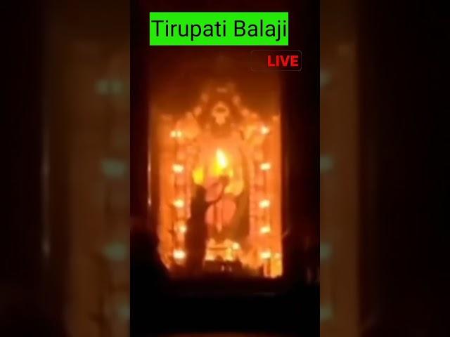 Tirupati Balaji temple video live darshan live Aarti