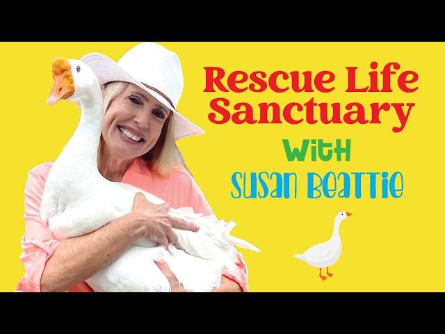 RESCUE-LIFE SANCTUARY WEST PALM BEACH, FL with SUSAN BEATTIE & GOOSE