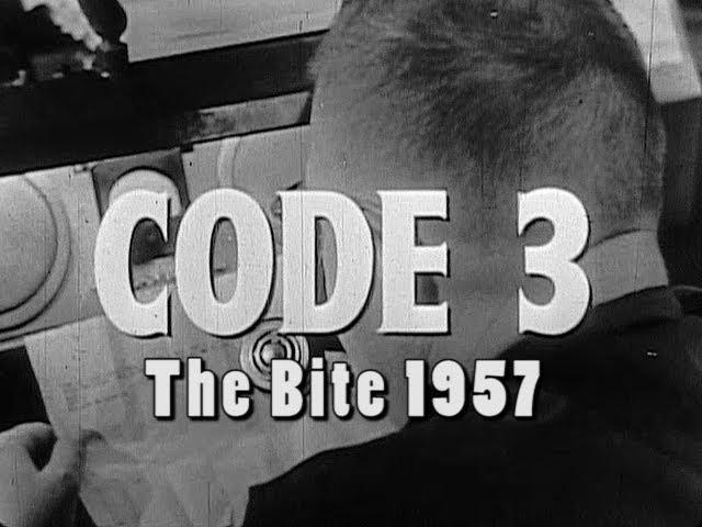 Code 3 The Bite 1957.  Rabid dog bites good Samaritan during robbery, avoids police at all costs.