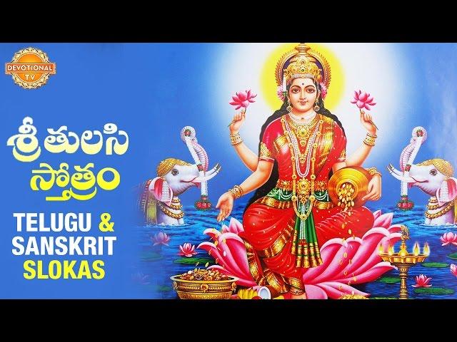 Sri Tulasi Stotram | Goddess Sri Lakshmi Devi Songs | Telugu and Sanskrit Slokas | Devotional TV