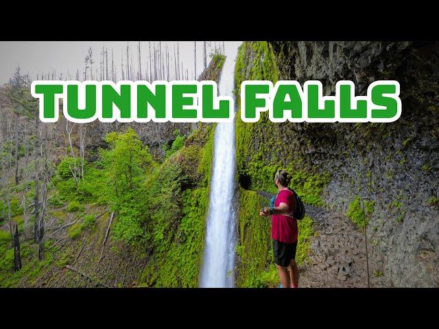 Best Waterfall Hike in Oregon? Tunnel Falls Hike Guide