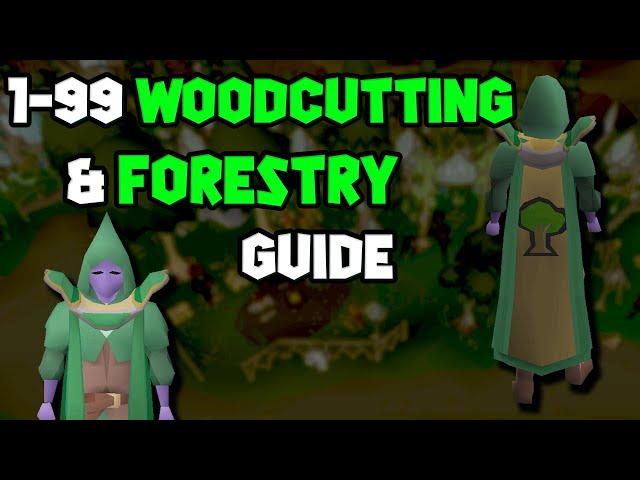 OSRS 1-99 Woodcutting & Forestry Guide | Updated Woodcutting Guide