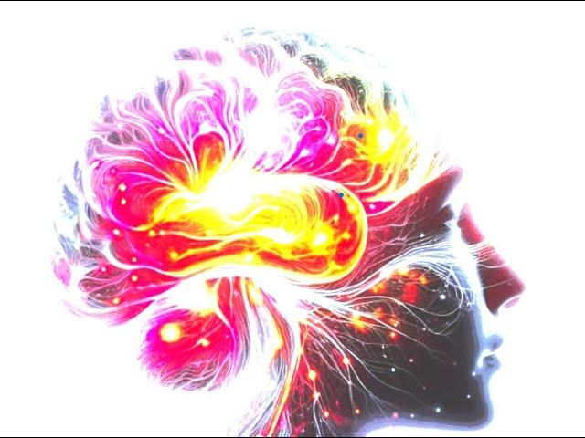 Mindshift Dynamics