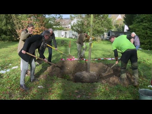 Jubiläumsbäume für Arlesheim - Birsstadt-TV Arlesheim