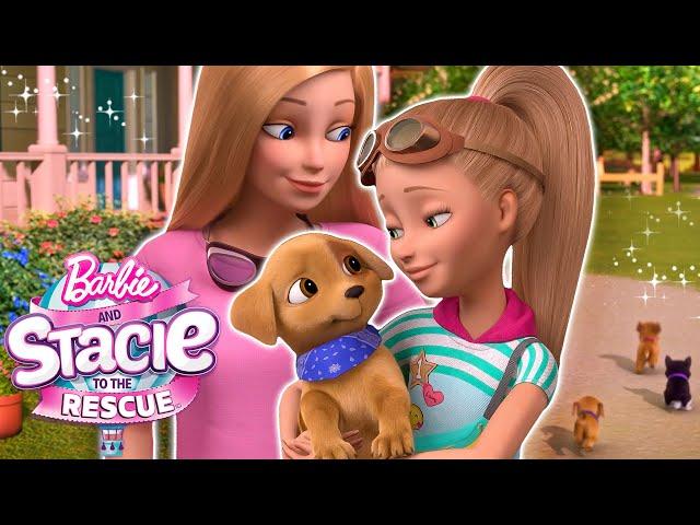 ¡Barbie y Stacie conocen a nuevos perritos! | Clip de la película | Barbie: Stacie al Rescate