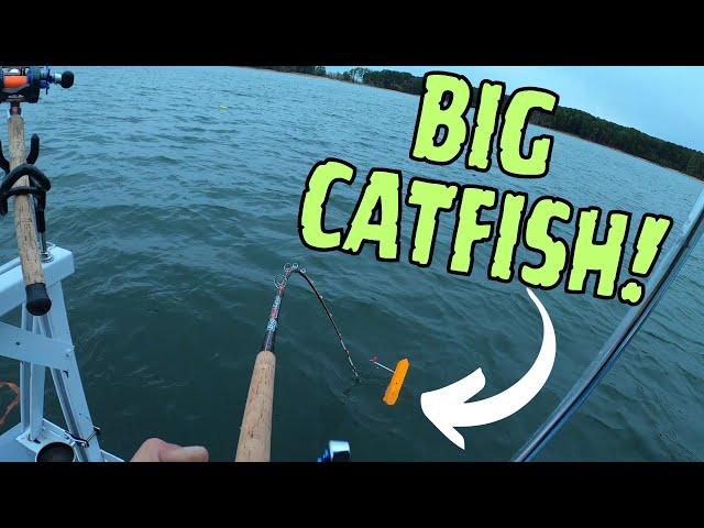 Catching BIG CATFISH In Rough Seas!! The BEST Way to Catch Blue Catfish Year-round!