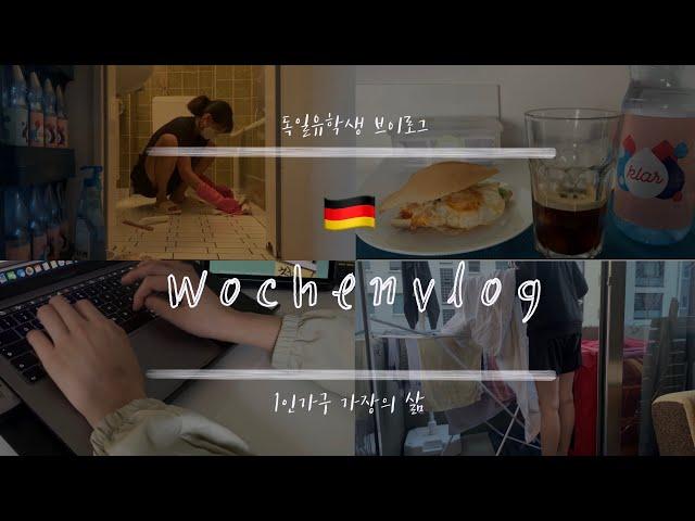 [독일유학생 VLOG]먹고 마시고 공부하고 집안일하는 브이로그ㅣ1인가구 가장의 삶