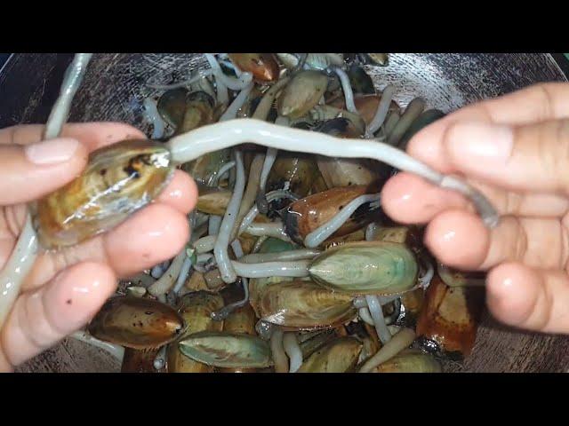 HOW TO COOK TONGUE SHELL OR BALAY SHELL (UGPAN) /KINILAW