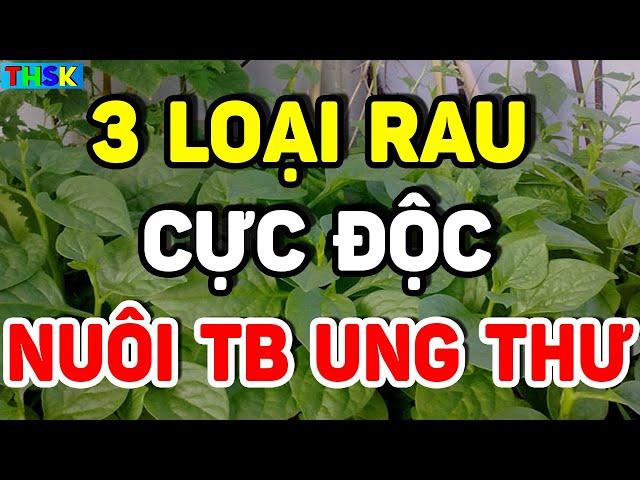 BS Cảnh Báo 3 LOẠI RAU NUÔI SỐNG TB UNG THƯ, CỰC ĐỘC, Càng Ăn Càng Nhanh Chếtt| THSK