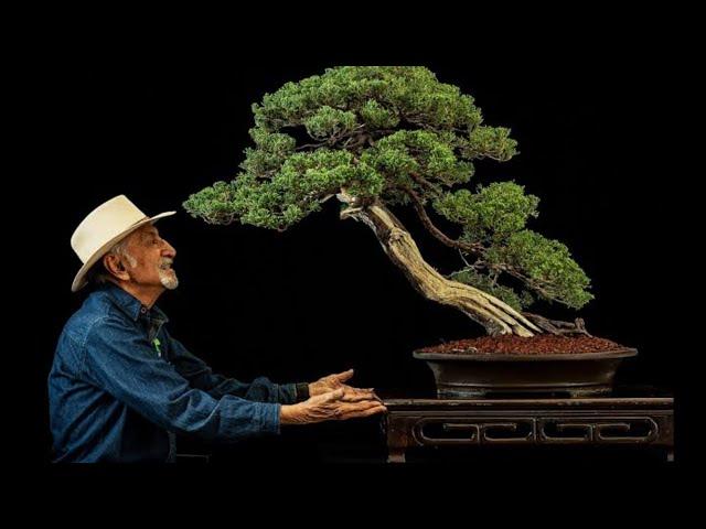 50 INSPIRASI BONSAI GAYA SLANTING/MIRING TERBAIK