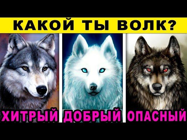 Тест! КАКОЙ ТЫ ВОЛК? Невероятный Тест на Характер! Узнай о себе правду! Точность 99%