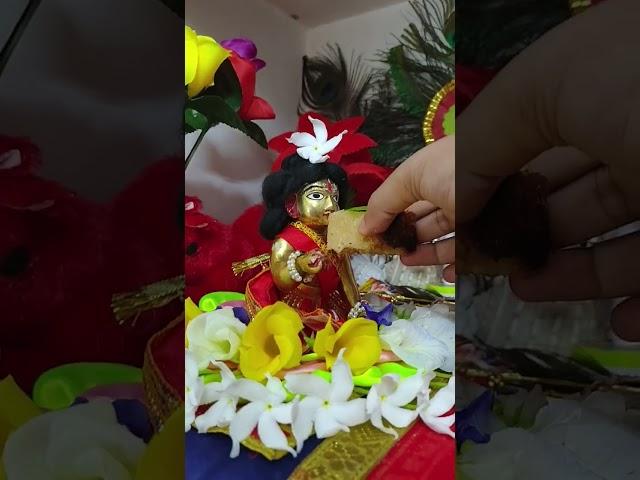 Vog dorshon ️‍ #gopalseva  #harekrishna  #laddugopal  #viral  #trending  #shorts