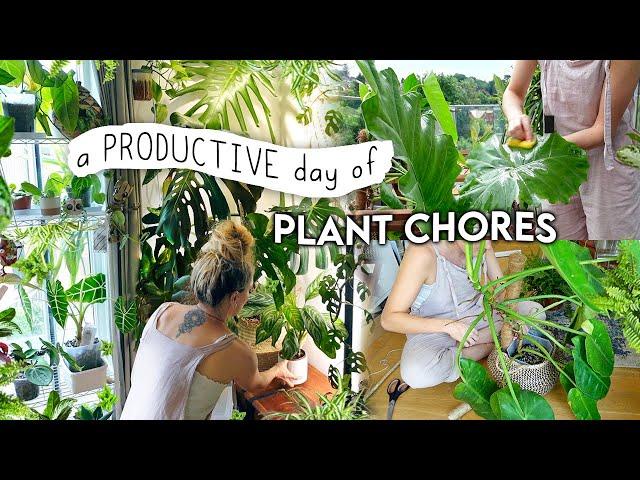 1.5 Hours(!!) of Plant Chores 🪴 Rehabbing, Styling, Propagating + MORE