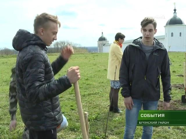 Возле Свенского монастыря появился рябиновый сквер 27 04 18