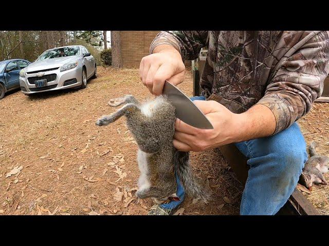 How to Clean and Process a Large Squirrel FAST & EASY