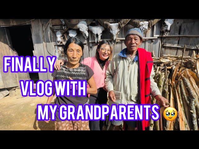 Visited my village after 7 years // met my grandparents  || Happy Newyear to everyone 