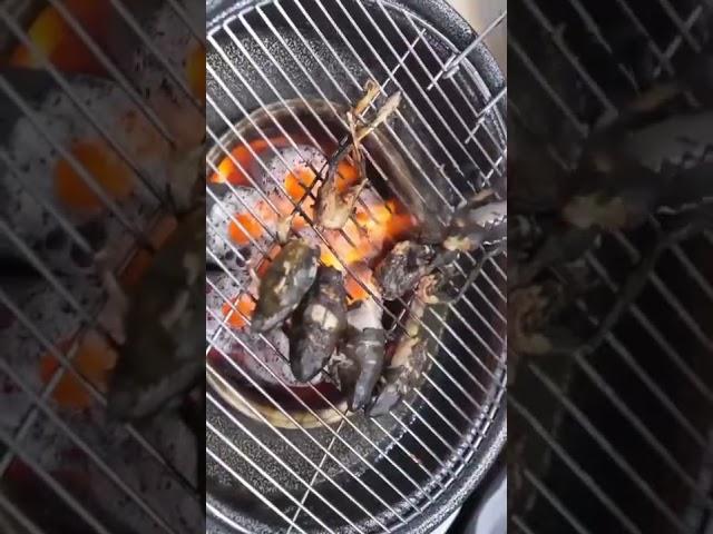 개구리 구이 - grilled frog