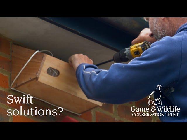 Swift Solutions? Farmers are providing nest boxes for swifts on Martin Down