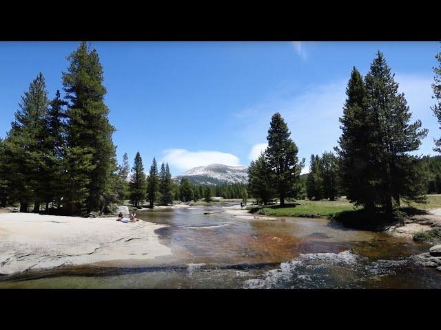 4 Miles of the JMT | Loyal Kinfolk Travel