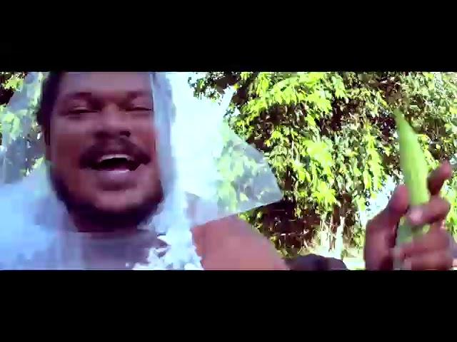 Trinidad Madman - Married (OFFICIAL MUSIC VIDEO)