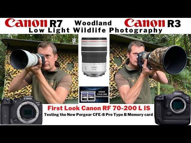 WILDLIFE PHOTOGRAPHY | Low Light Woodland Hide | Using the Canon R3 & R7 | Canon RF 70-200 F4 L IS