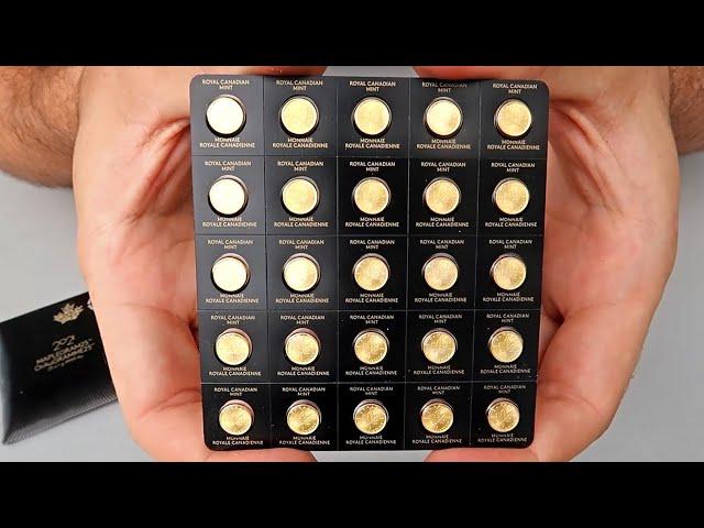 Prepper Fractional Gold Coins - 2021 25x1 gram Gold Maplegram25