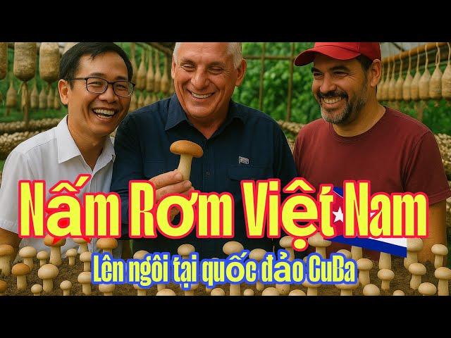  Cây Nấm Rơm Việt Nam Cứu Đói Cuba? | Hành Trình Gieo Mầm Tình Anh Em Xuyên Đại Dương!