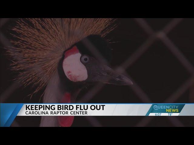 Carolina Raptor Center works to keep bird flu out