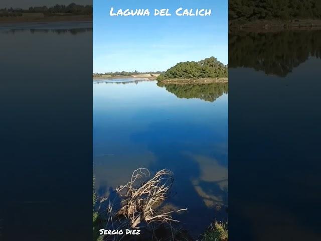 Laguna del Calich ad Alghero #short #shorts #shortsvideo